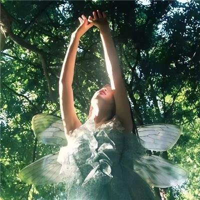 美女·杀手·摧花狂